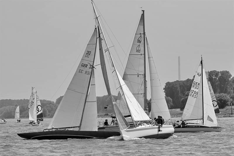 Rheinwoche 2014 - Kölner Yachtclub - segeln in Köln
