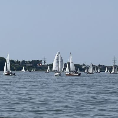 Img 6101