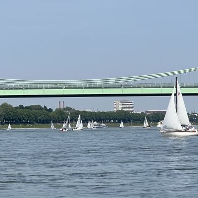 Img 6153