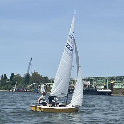 Img 6194
